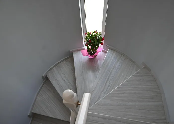 فيلة Gianangelo Kremastí